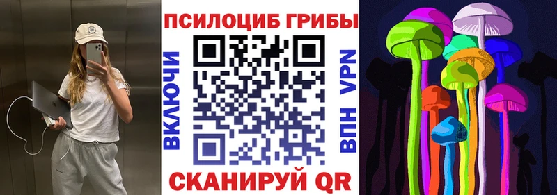 Галлюциногенные грибы Magic Shrooms  kraken ONION  Николаевск-на-Амуре 